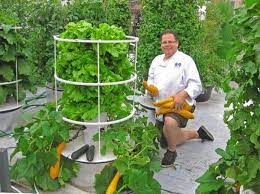 Independent At Home Six Systems For Self Sufficient Living Hydroponic Gardening Hydroponics Aquaponics