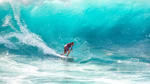 Surf's output includes research, seminars, conferences, international policy exchanges, study visits. Top 10 Surf Camps In Egypt