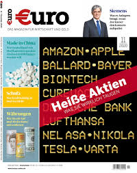Graf oljefondet siden 1996 (ved utgangen av året) Euro Ausgabe 11 2020