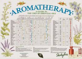Shirley Price Aromatherapy Reference Chart A2