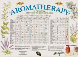 Shirley Price Aromatherapy Reference Chart A2