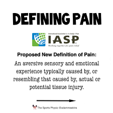 The Sp Rts Physio On Twitter Yet Again The Iasp Are Trying To Re Define Pain Https T Co Znqjhnmzdx Why Do We Waste So Much Time Trying To Define Pain Can We Define Other Human Experiences