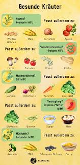 Gesunde Krauter Teil 1 In 2020 Healthy Herbs Herbs Alternative Health