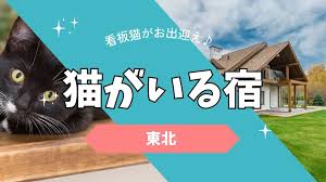 猫 と 触れ合える 宿