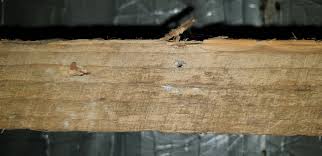 Discover asbestos insulation products and those at risk of exposure. Asbestos Gallery Asbestos Audit