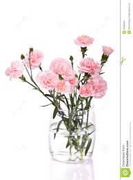 Dzisiaj wyślemy do osób zarejestrowanych na platformie flora go maile z ofertą. Gozdzikow Kwiaty Zdjecie Stock Obraz Zlozonej Z Kwiaty 30368584