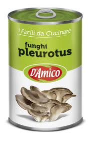 We did not find results for: Funghi Pleurotus Prodotti