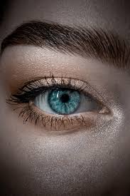 Scroll down to see some beautiful cats with blue eyes, then click on the circular buttons below your favorite image to share it instantly with. 350 Blue Eyes Pictures Hd Download Free Images On Unsplash