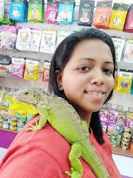 The pet store is now brought to you where you are, you can use any gadget that is able to access the internet and buy any animal you want and own wild animals and pets online store is here to sell you any animal you want to possess in your premisses legally. Iguana Pet Store