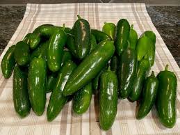 Put thick slices on top of nachos before broiling. Growing Chilis And Hot Peppers In The Mountain West Finegardening