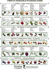 Check spelling or type a new query. When To Plant Vegetables Spring Sept Nov Summer Dec Feb Fall Mar May Winter Vegetable Planting Guide When To Plant Vegetables Fall Garden Vegetables