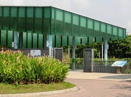 The entire area can be explored in around half an hour. Lorong Halus Wetland From Garbage Dump To Eco Water Treatment Park Untourist Singapore