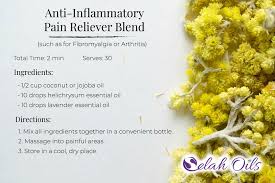 Pain relief essential oil blend recipe. The Healing Help Of Helichrysum Selah Essential Oils