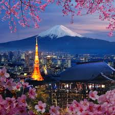 Home to almost fourteen million people and with a population density of over six million per square some of the themed cafes in tokyo are pretty bizarre, but they're also incredibly good fun. Top Places To Eat And Drink In Tokyo Japan Gavel International
