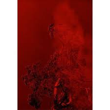 Pin Auf Women In Photography Instagram