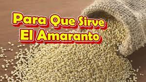Que Es Y Para Que Sirve El Amaranto