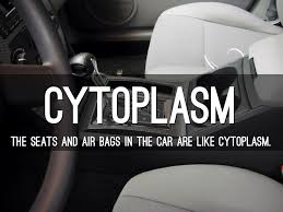 Animal cell analogy to a car. Cell Analogy By Ayanna Maddox