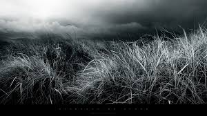 Abstract Black And White Nature Fields Hd Wallpapers Jpg Essentialist And Wannabesaint We have a massive amount of hd images that will make your computer or smartphone look absolutely fresh. abstract black and white nature fields