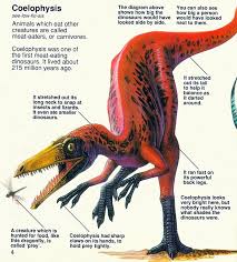 Vintage Dinosaur Art The Usborne Book Of Dinosaurs Dinosaur Dinosaur Facts Dinosaur Art