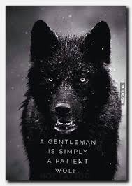 Weitere ideen zu einsamer wolf, wolf, zwei wölfe. 87 Wolf Ideen Krieger Zitate Wolf Hunde Weisheiten