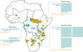 As jaffe's phrasing suggests, american english speakers are converging on an answer that is very similar to old but has another syllable tacked on as a crucial softener: A Pan African Spatial Assessment Of Human Conflicts With Lions And Elephants Nature Communications