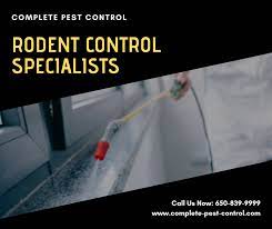 Contact our pest control company today to find out if you need rodent, bed bug or termite control services. Complete Pest Control Home Facebook