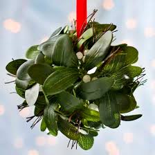 It may be a selfservice shop where the. Hanging Artificial Mistletoe Kissing Ball Ornament Ball Ornaments Wedding Themes Winter Mistletoe