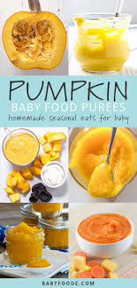5 Pumpkin Puree Recipes For Baby Stage 1 2 Baby Foode Recipe Baby Food Recipes Baby Puree Recipes Pumpkin Baby Food
