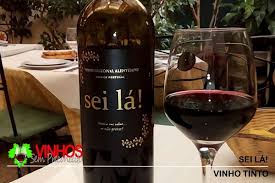 O Que Vai Beber Sei La Vinhosempreconceito Vinho Winer Vinhotinto Vinhoalentejano Vinhoseila Portugal Vinhoportugue Em 2020 Vinho Tinto Vinho Vinhos Do Mundo