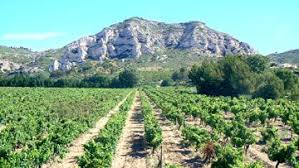 Le Mas De La Dame Baux De Provence Vin Bio Vin Rose