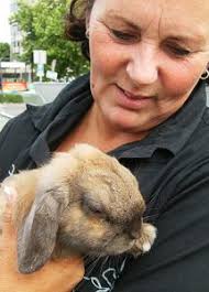 Vijf vragen aan onze konijnendeskundige