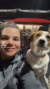 Dirty Gertie! Best Jeep doggie!