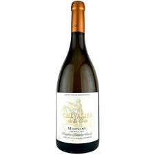 Image result for Crepidomanes chevalieri