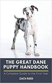 Since out great dane pups were without their mom for part of the time they were nursing, we started them on solid food a little earlier, at three weeks old. The Great Dane Puppy Handbook A Complete Guide To The First Year Reed Zach 9781651864807 Amazon Com Books