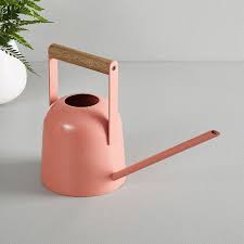 The Cutest Watering Cans Any Stylish Plant Parent Can Buy Modern Watering Cans Mini Watering Can Indoor Watering Can