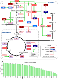 This also represents awareness for asthma and diabetes. Metabolic Gene Alterations Impact The Clinical Aggressiveness And Drug Responses Of 32 Human Cancers Communications Biology