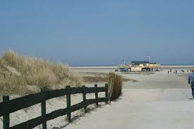 Natuurlijk Madelief Nederland Natuur Groningen