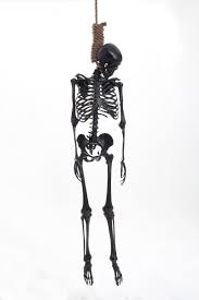 Well Hung Skeleton Art Skeleton Drawings Black Cat Art