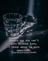 Love Life And Saying Quotes People Say You Can T Live Without Love I Think Water Is More Important Follow For More Love Life And Saying Quotes Lovelifeandsayingquotes Love Lovequotes Water Important Couplesgoals Lovers Friends