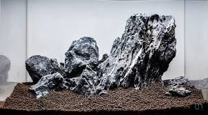 See more of web aquascaping contest 2020 on facebook. The Elements Of Aquascaping Rocks Driftwood Substrates Aquascaping Love