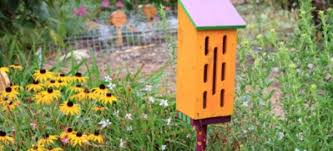 He clean, simple lines of this attractive butterfly house make it a graceful ornament for any garden. Butterfly House Plans Craftybirds Com