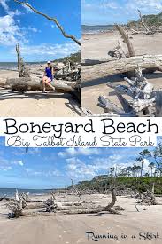 The formations and sand on black rock beach are much darker in contrast to the coquina formations at washington oaks state gardens and the anastasia limestone outcroppings at blowing rocks preserve further. Boneyard Beach Florida Big Talbot Island State Park Running In A Skirt