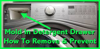 As handy as dishwashers are at cleaning all of your dirty dishes, they do not clean themselves. How To Remove And Prevent Black Mold In Washing Machine Detergent Drawer