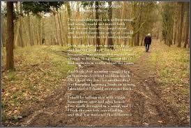 I Took The One Less Traveled By The Road Not Taken Road Walk In The Woods