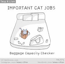 Important Jobs Cats Do Every Day Cat Jokes Cats Funny Cats