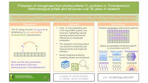 Image result for Mimosa Yellow 1990 Tracer