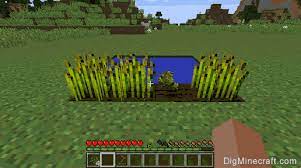 For ps3 and ps4, press the l2 button on the ps. How To Farm In Minecraft