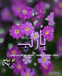 يا رب اسكب على قلبي سكينة اتجاهل بها كل شئ يؤلمني Layla
