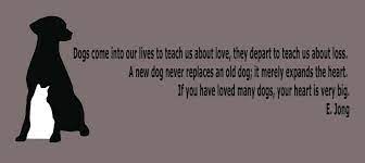 Veterinary Tech Inspirational Quotes Quotesgram