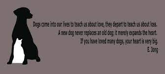 Dogs do speak, but only to those who know how to listen.. Funny Vet Tech Quotes Quotesgram